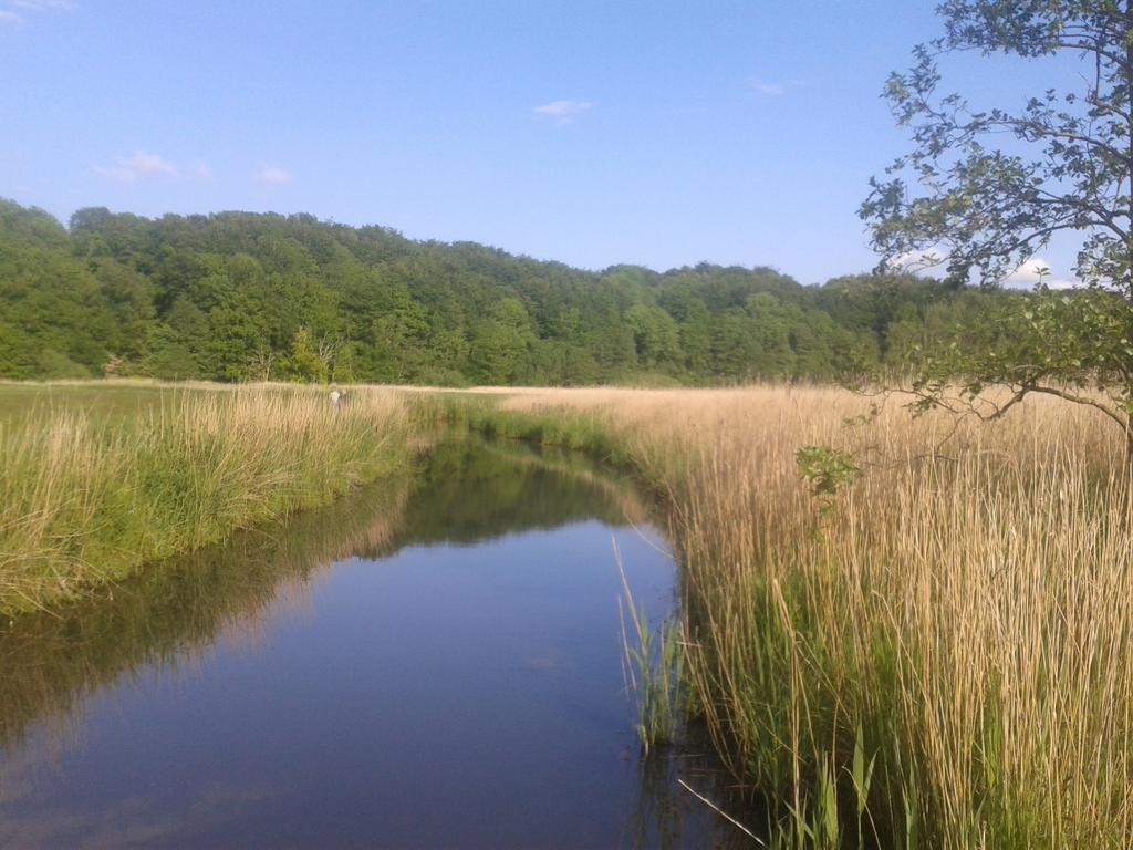 Ostsee Reetkate Langballig Pokój zdjęcie